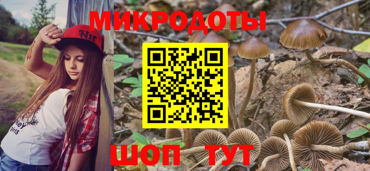 Псилоцибиновые грибы MAGIC MUSHROOMS Зерноград